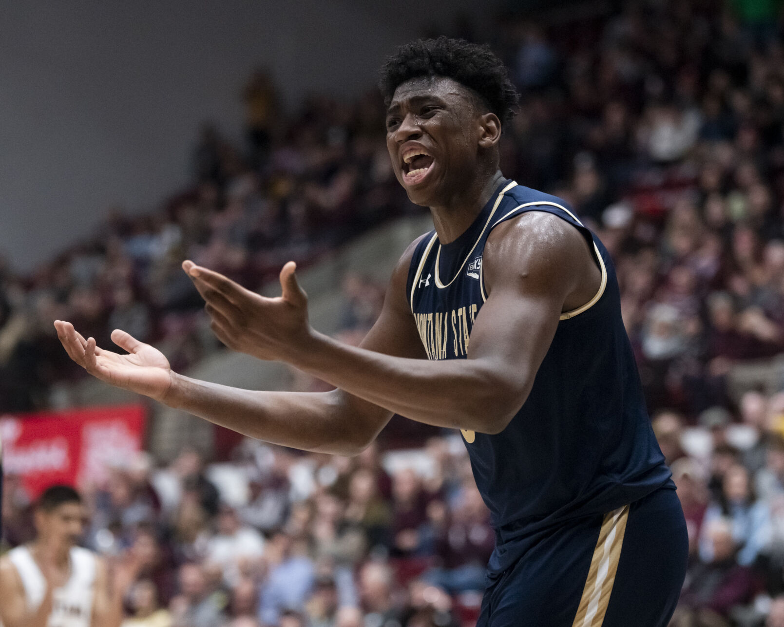 Griz vs. Montana State men's basketball 25.JPG